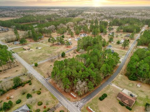  in Marion SC Lot 1 C Peach Tree Rd.jpg