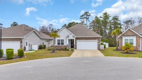Single Family Residence in Little River SC 1233 Wind Swept Ct 35.jpg
