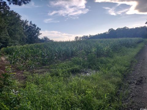  in Hemingway SC TBD Beaver Rd.jpg