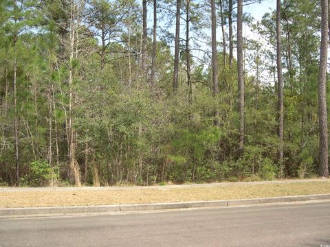  in Georgetown SC 103 Pineberry Dr.jpg