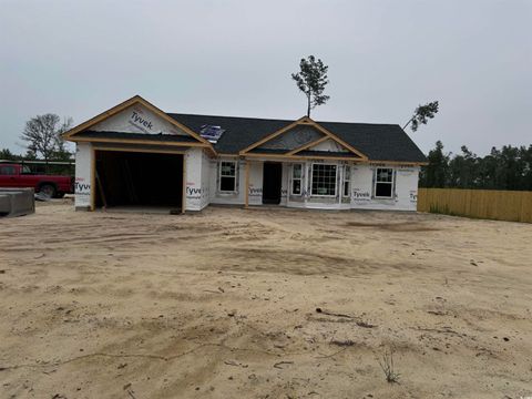 Single Family Residence in Nichols SC TBB Black Creek Rd.jpg