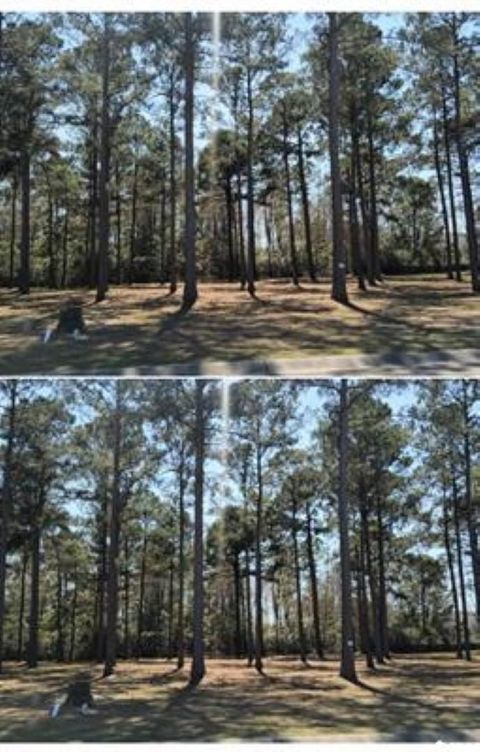  in Myrtle Beach SC 1148 Fiddlehead Way.jpg