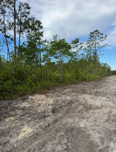  in Loris SC TBD Fowler School Rd.jpg