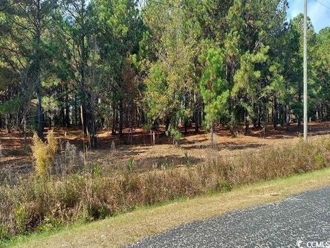  in Loris SC 3029 Fowler Rd.jpg
