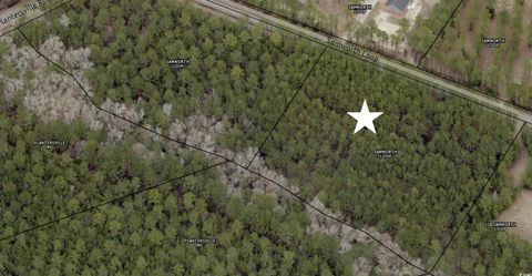  in Georgetown SC 0 Samworth Loop.jpg