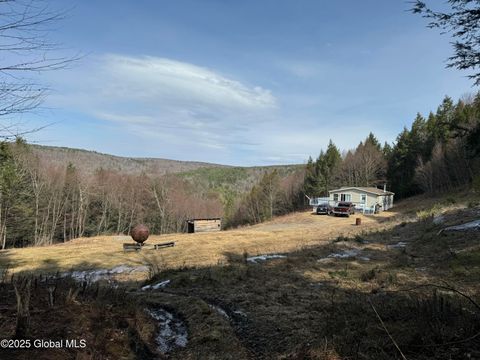 Single Family Residence in Prattsville NY 4719 Washington Street.jpg