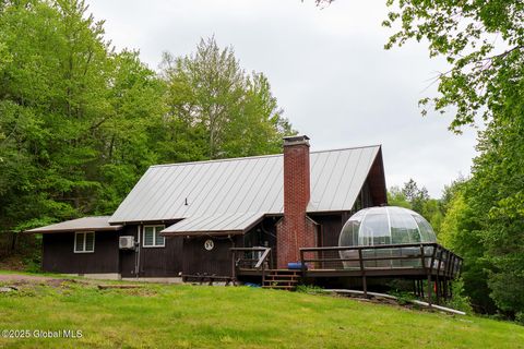Single Family Residence in Prattsville NY 143 Terrace Drive.jpg