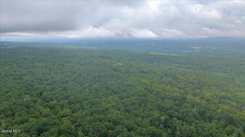 Unimproved Land in Duanesburg NY 181 Liddle Road #Lot 2.jpg
