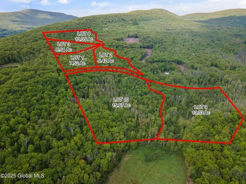 Single Family Residence in Windham NY 3 Galway Road.jpg