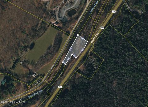 Unimproved Land in Prattsville NY 12793 NY-23A.jpg