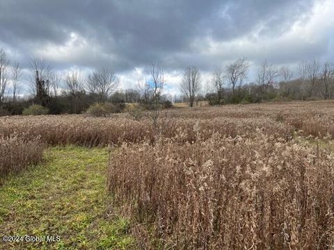 Unimproved Land in Morrisville NY 5355 State Route 20.jpg