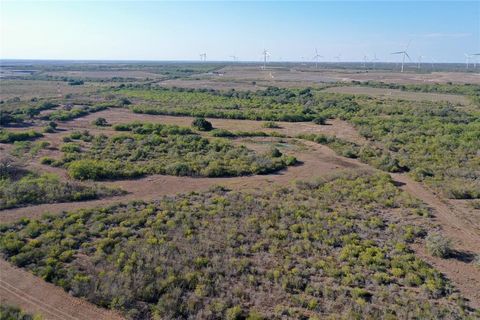  in Beeville TX TBD Lot 8 FM 673 8.jpg