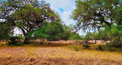  in Bandera TX 530 Buckskin Trail.jpg