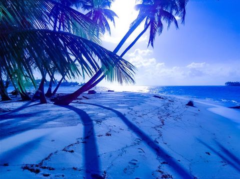  in No City US 25 Grape Cay 5.jpg