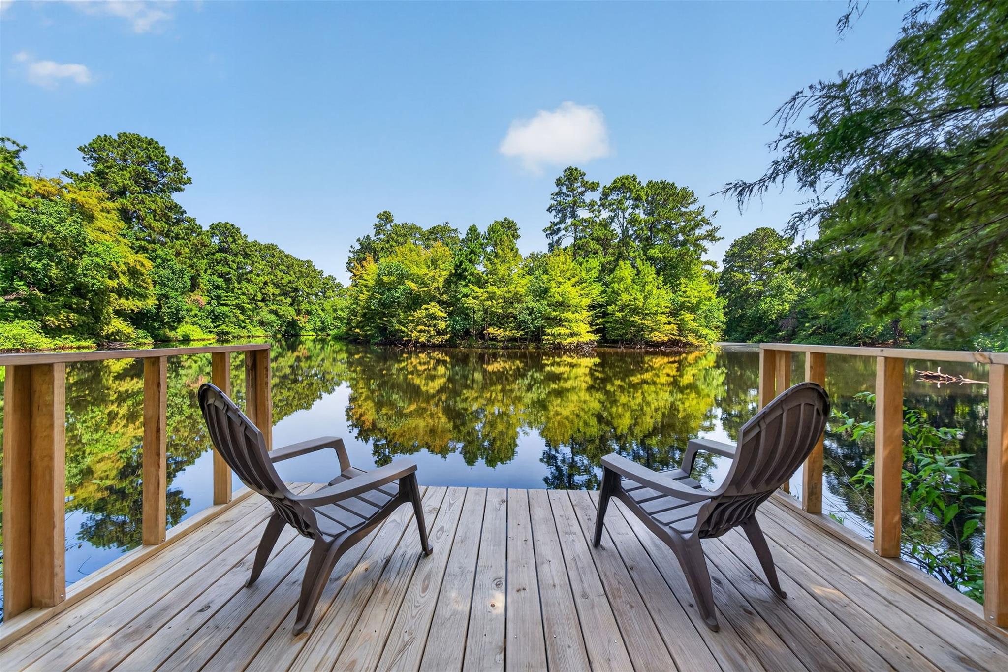 18234 Atkinson Ln, Conroe, TX 77384