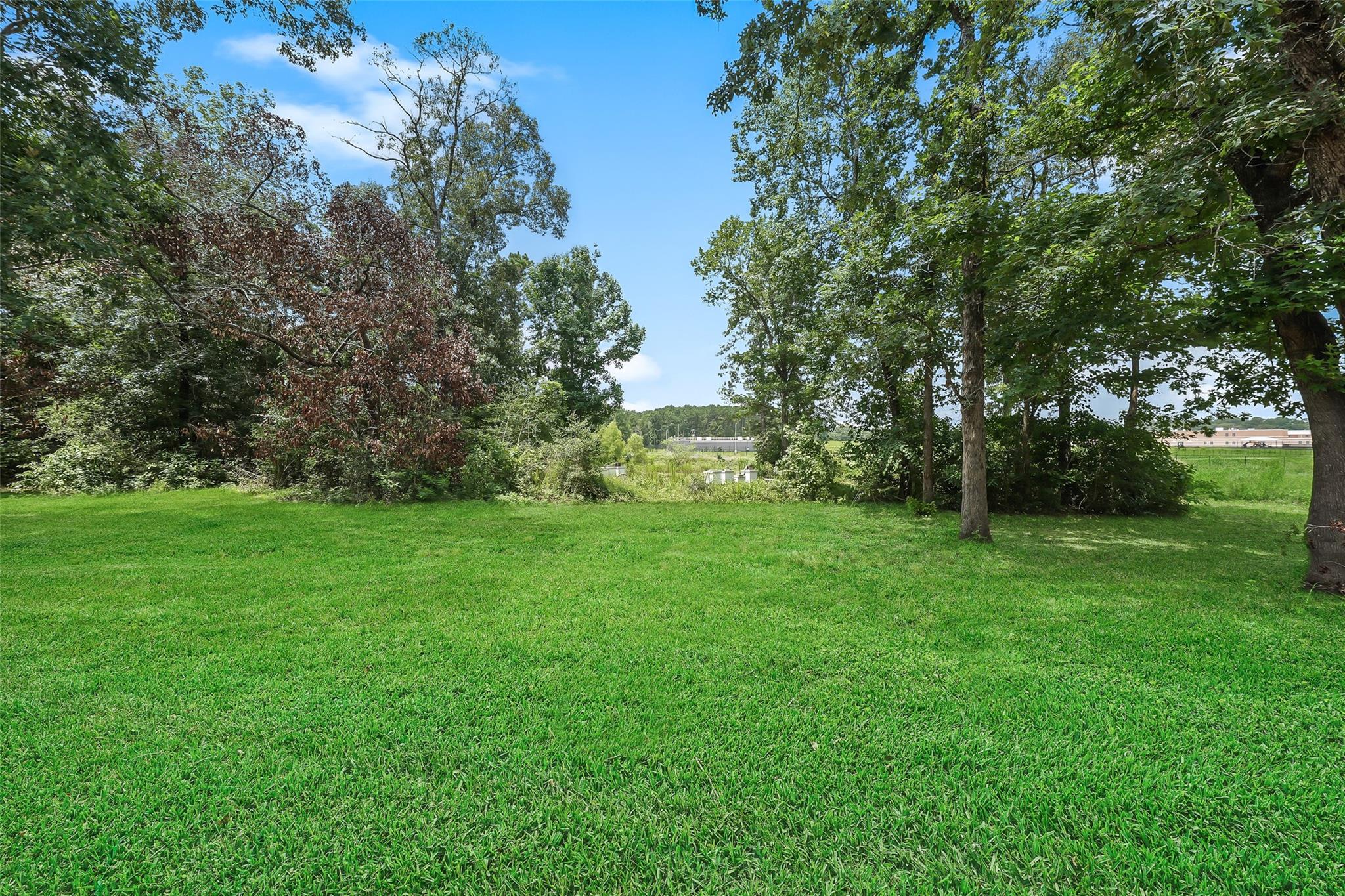 14255 Amber Ln, Montgomery, TX 77316 photo