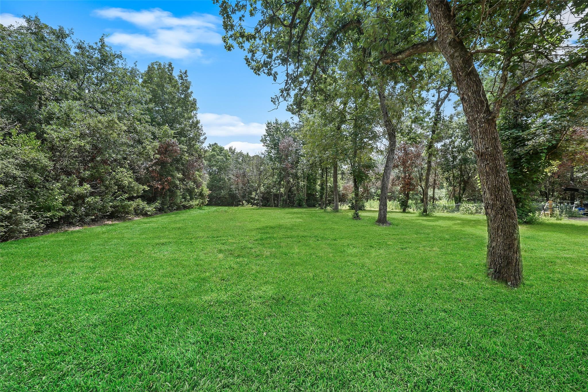 14255 Amber Ln, Montgomery, TX 77316 photo