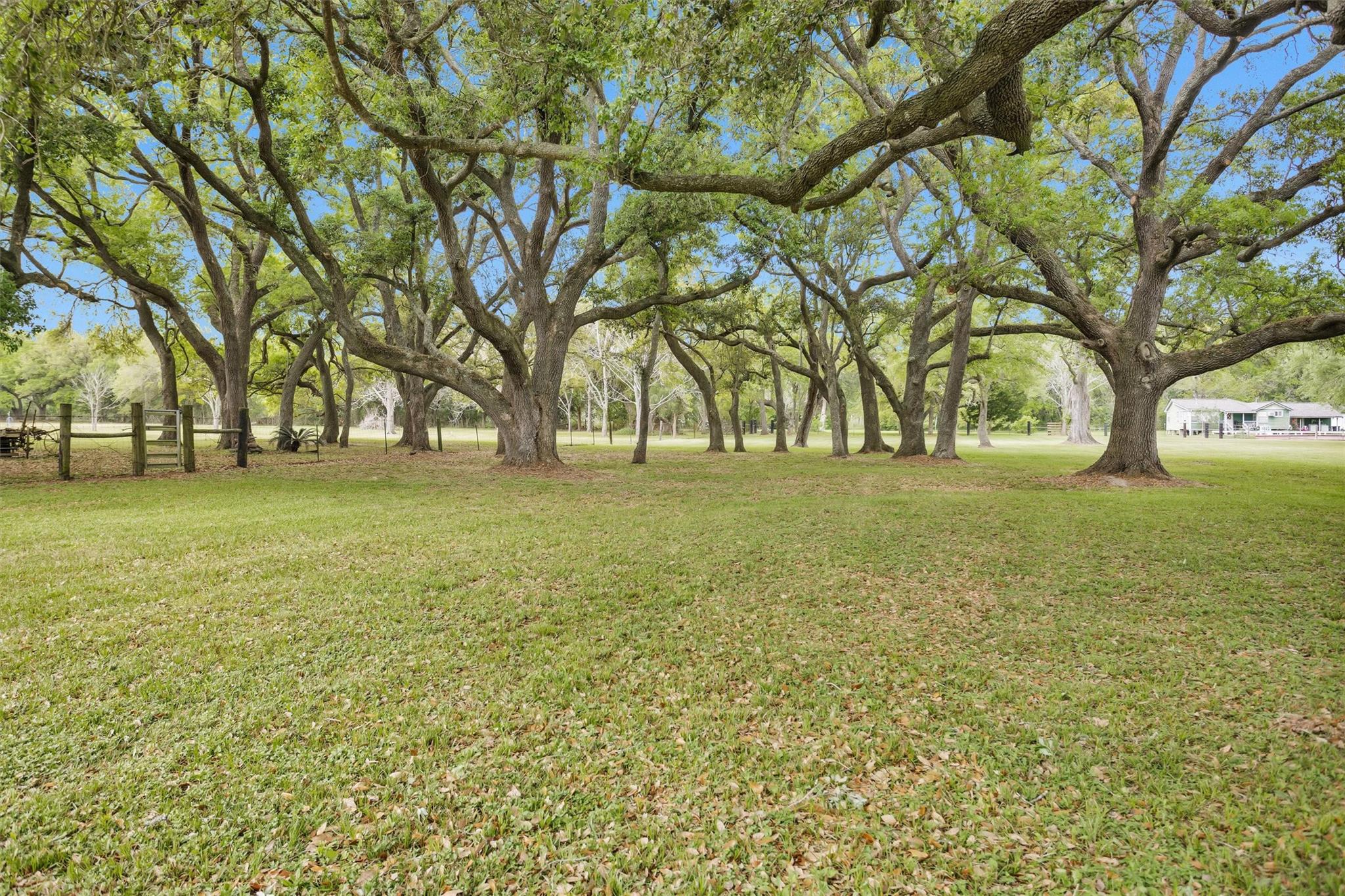 4402 Spears Rd, Manvel, TX 77578
