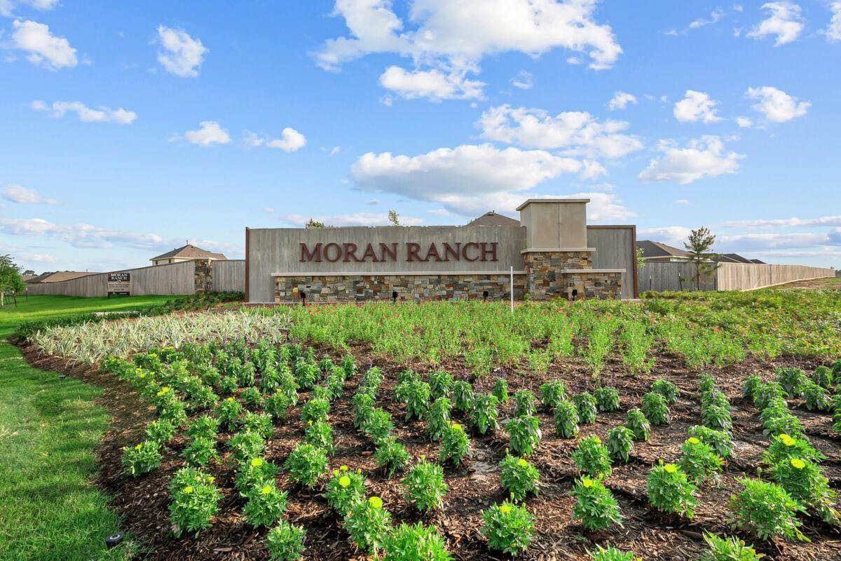233 Mountain Knolls Ln, Willis, TX 77378 photo