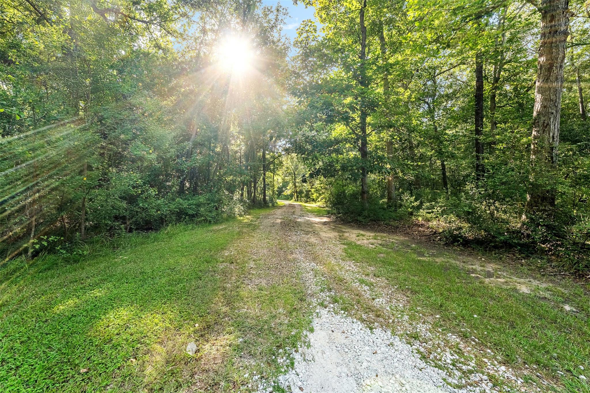12626 Highway 105, Cleveland, TX 77327 photo