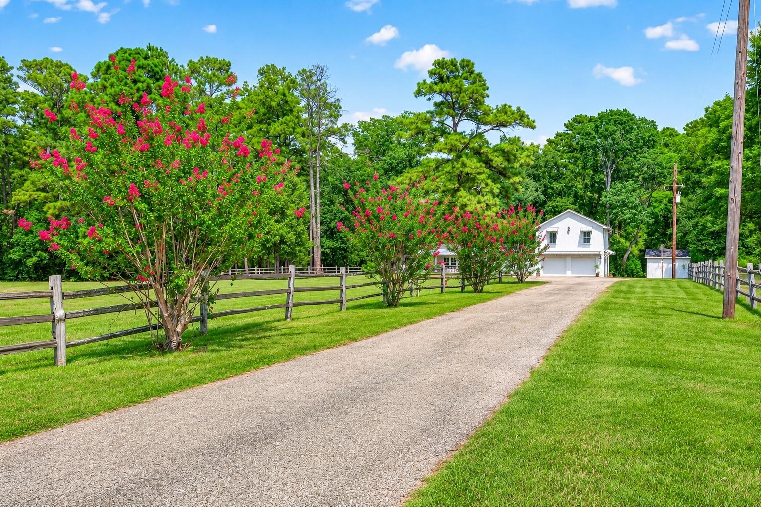 11580 Forest Trail Dr, Willis, TX 77318 photo