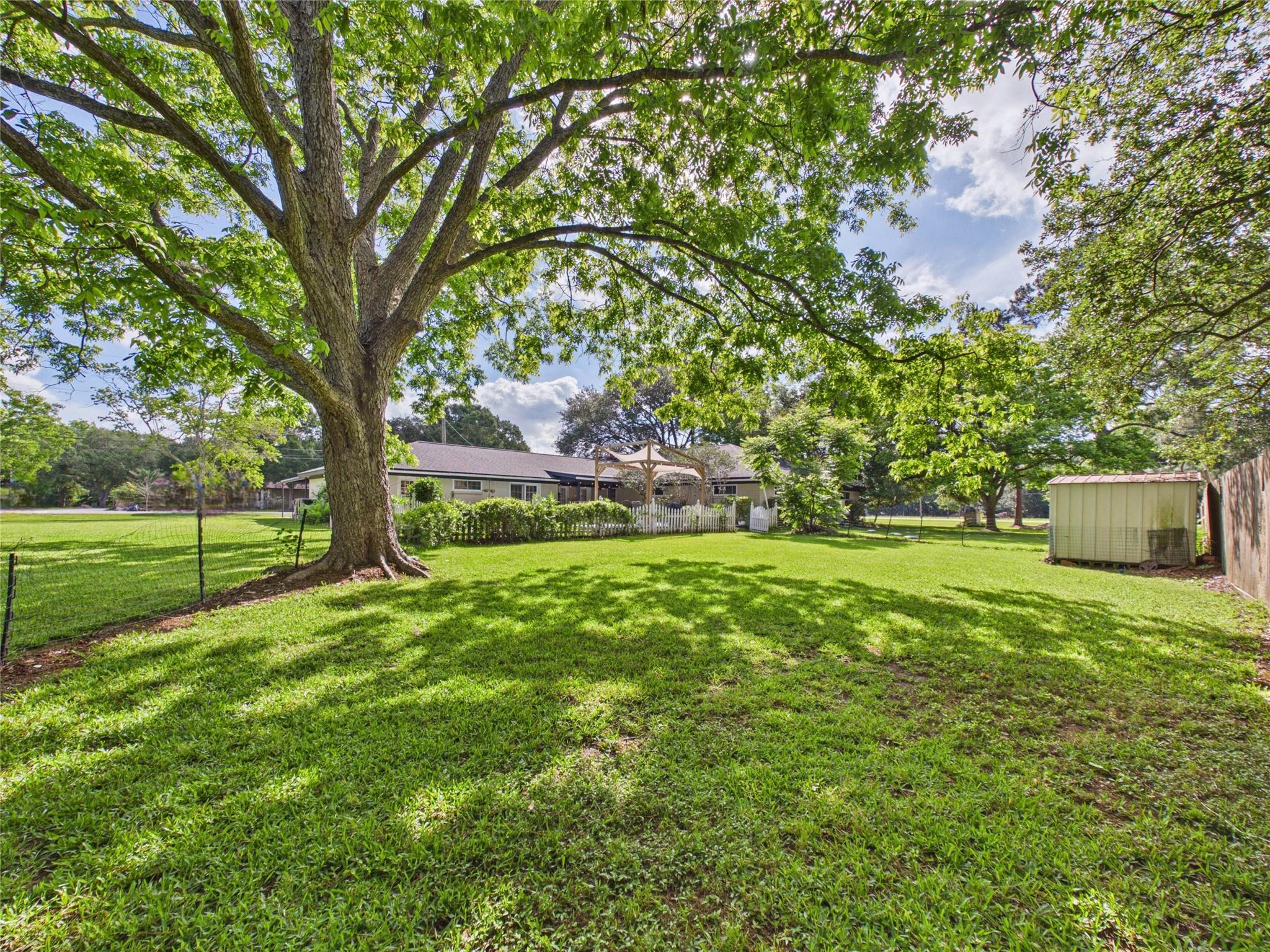 3037 County Road 536, Alvin, TX 77511 photo