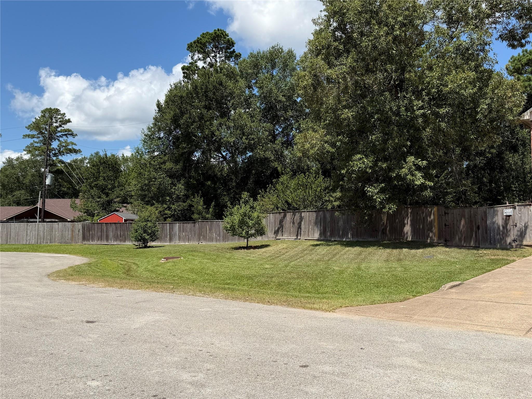 29122 Hidden Lake Ct, Magnolia, TX 77354 photo