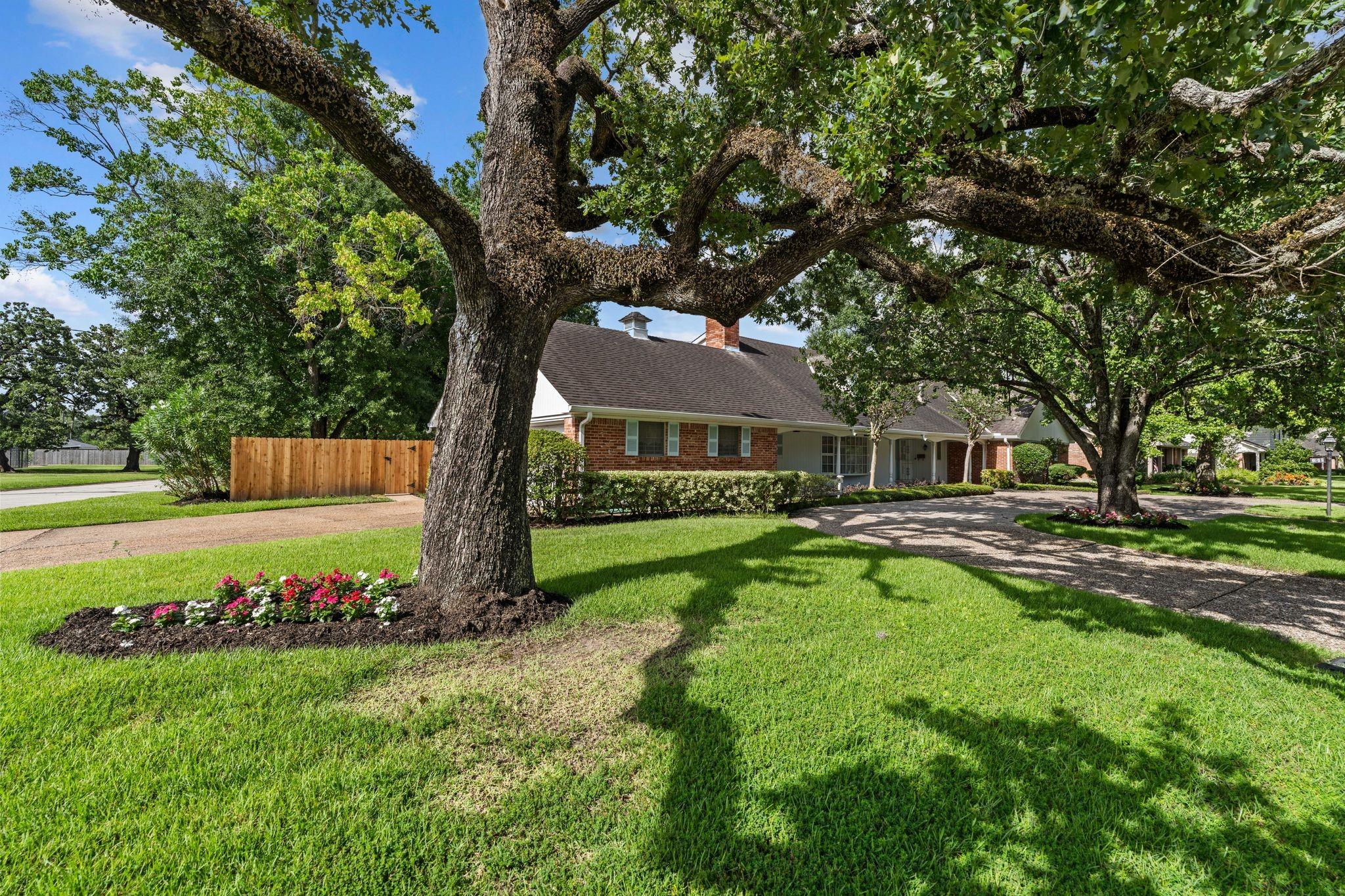 1603 Bethlehem St, Houston, TX 77018 photo