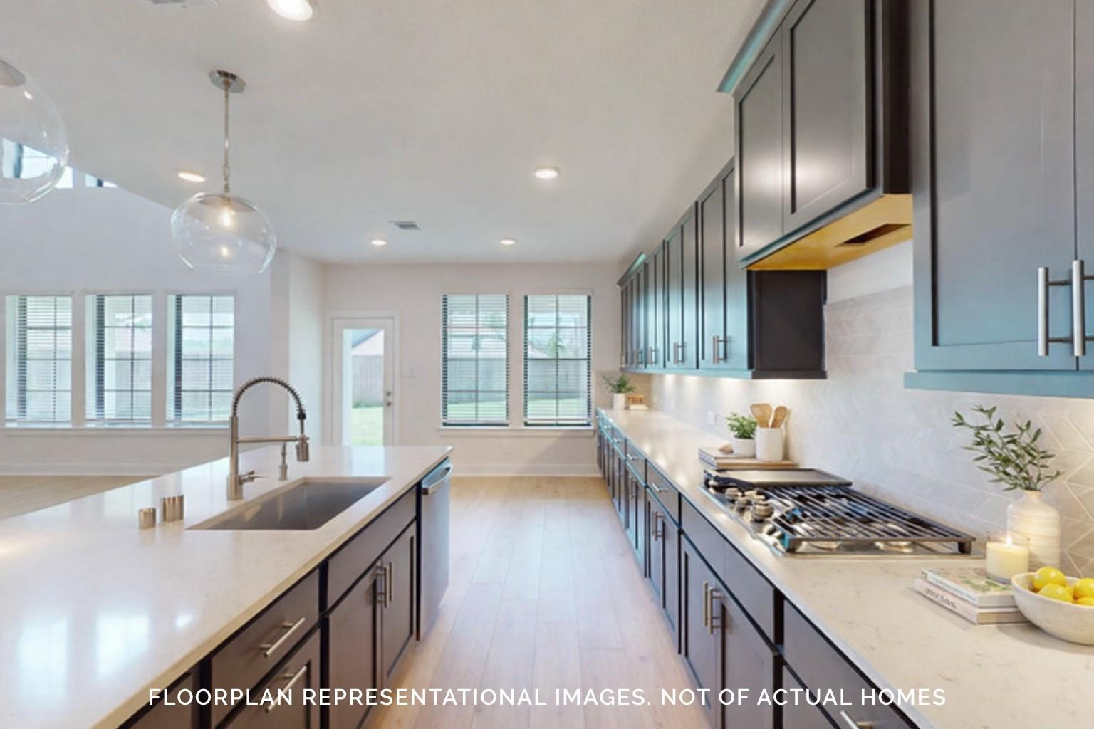 21003 Geranium Park Cir, Tomball, TX 77447 photo