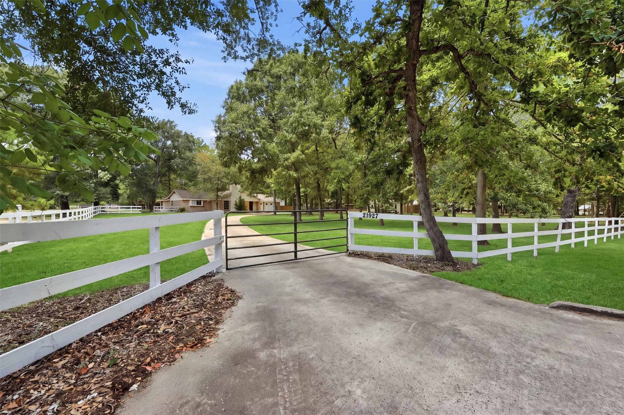 21927 Allyson Rd, Magnolia, TX 77354 photo