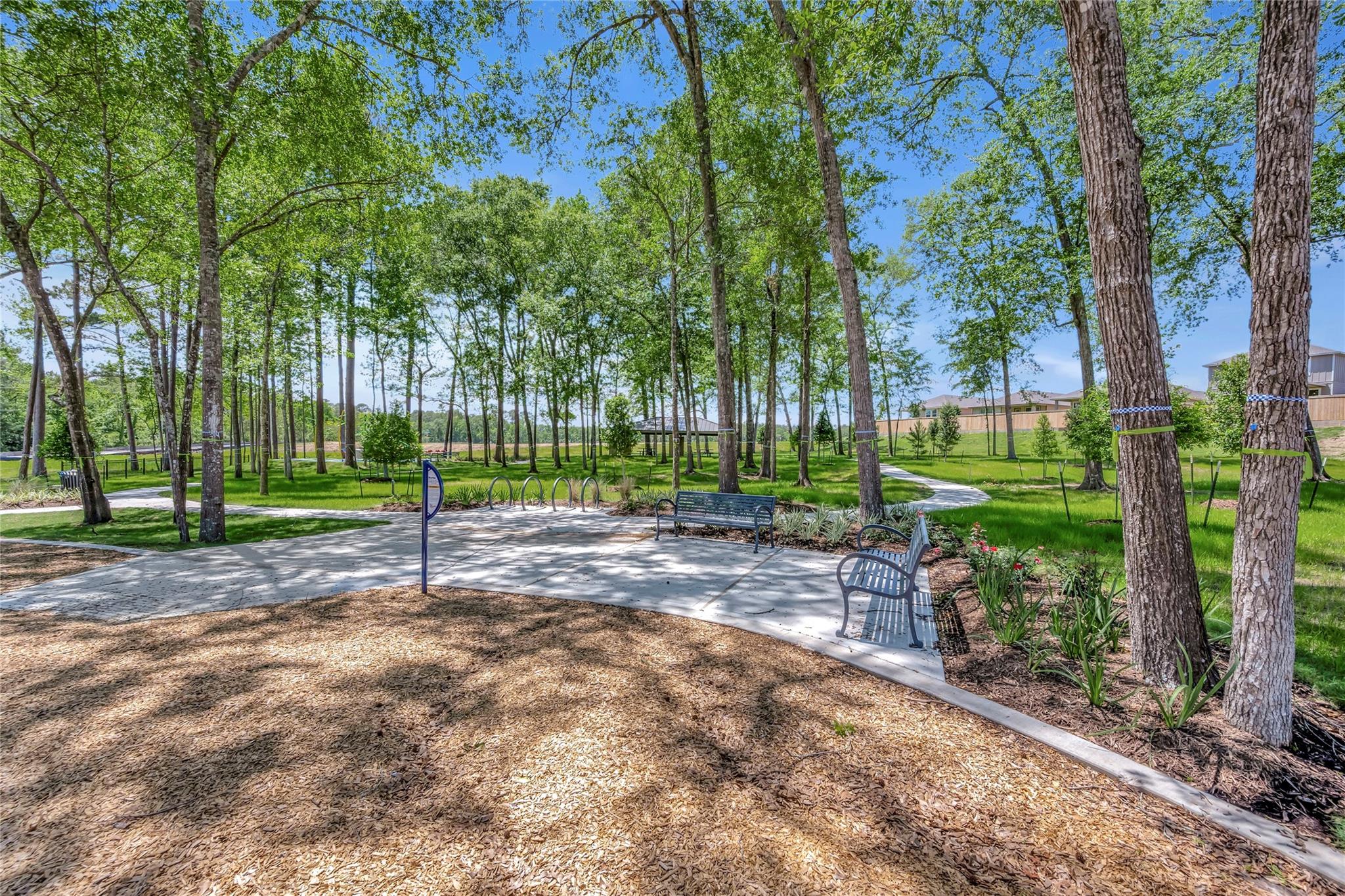 17764 Mill Manor Dr, Montgomery, TX 77316 photo