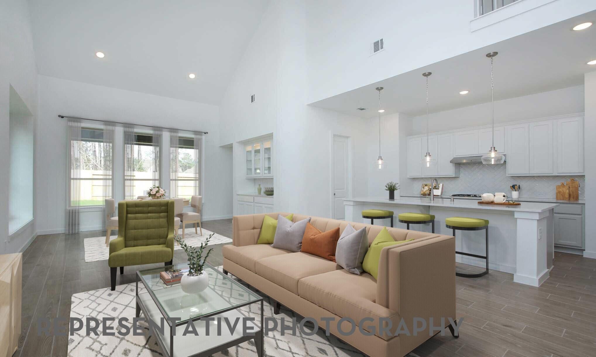 3003 Solace Spring Ln, Webster, TX 77598 photo