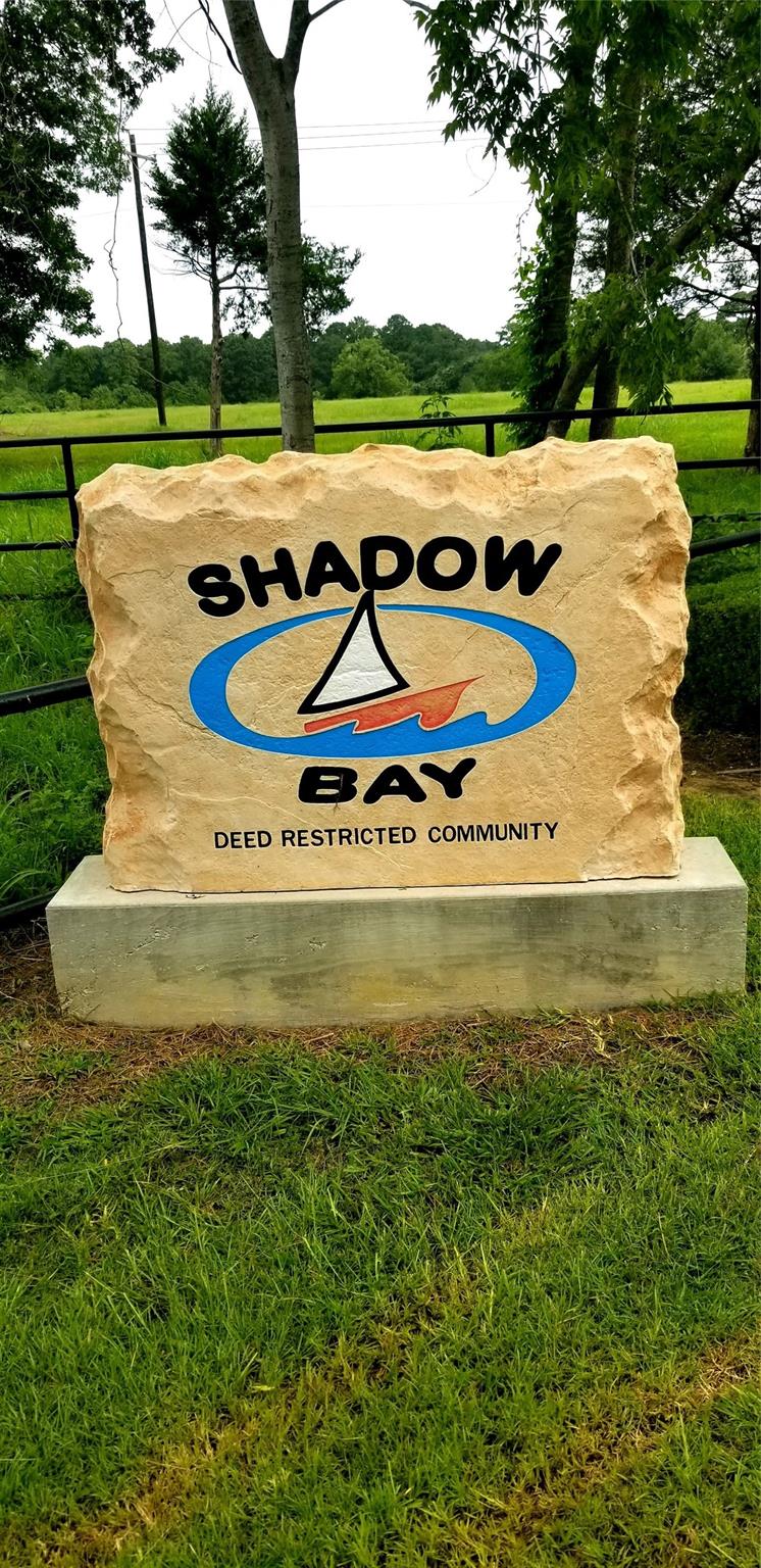 14273 Shadow Bay Dr, Willis, TX 77318 photo