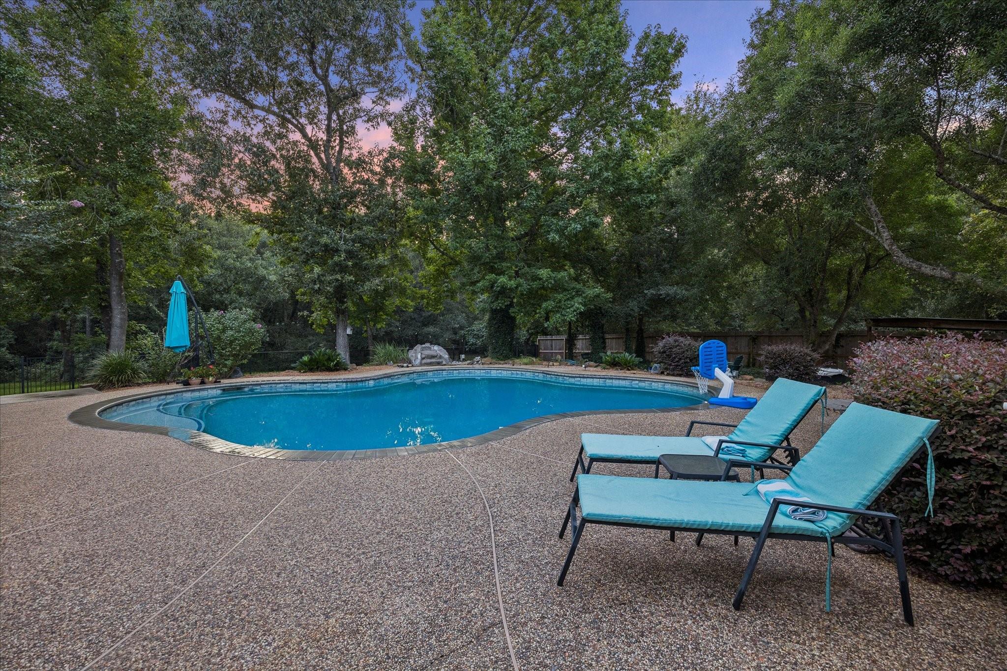 11460 Regal Hill Ct, Montgomery, TX 77316 photo