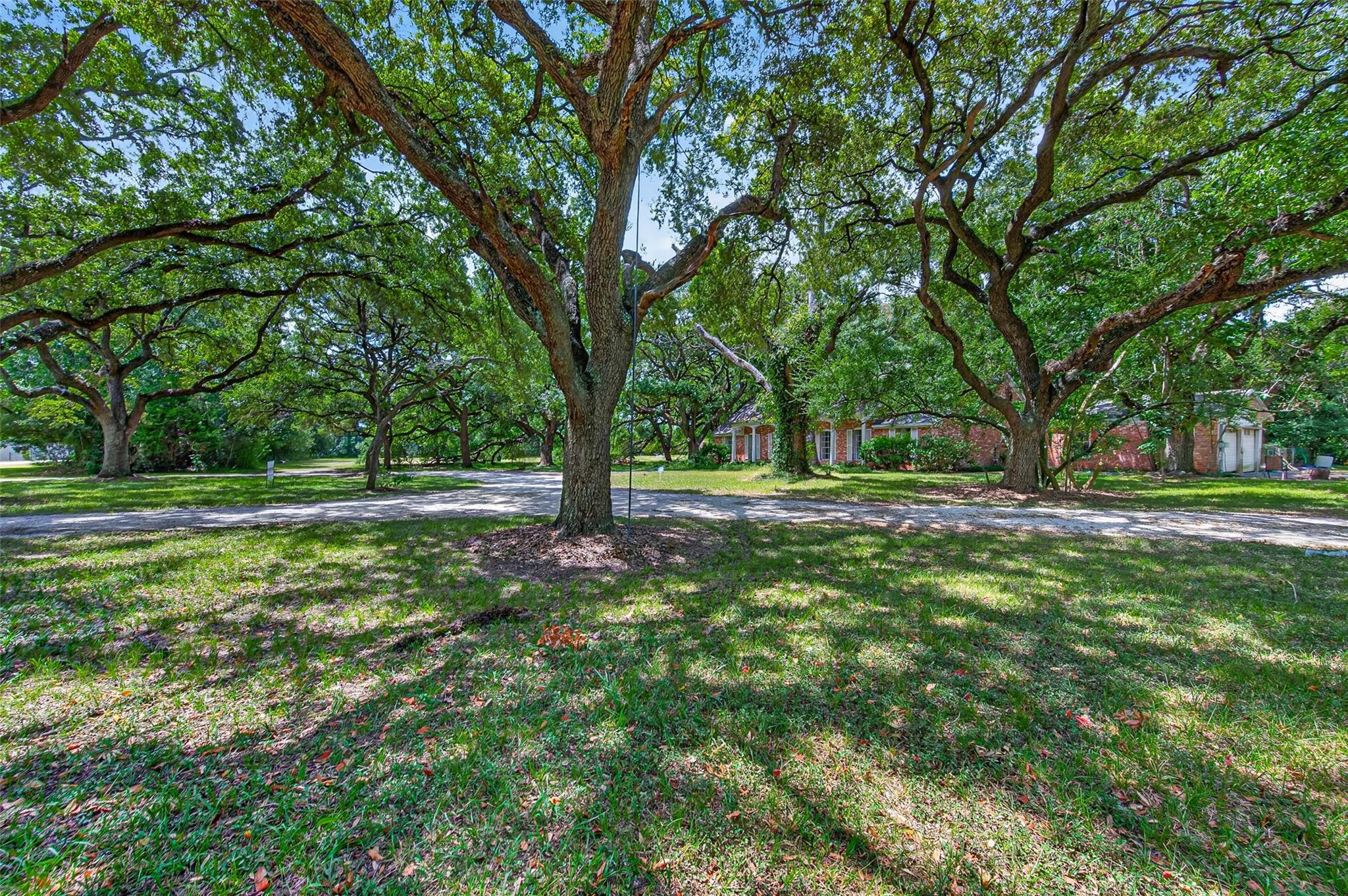7131 Holmsley Ln, Houston, TX 77040 photo