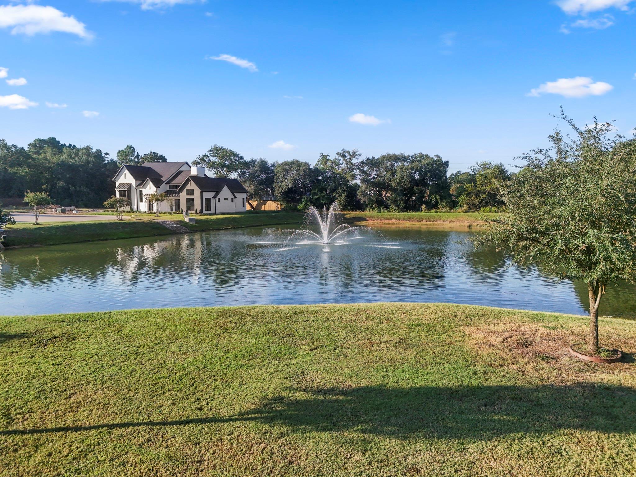 8719 Scrub Oak View Dr, Tomball, TX 77375 photo