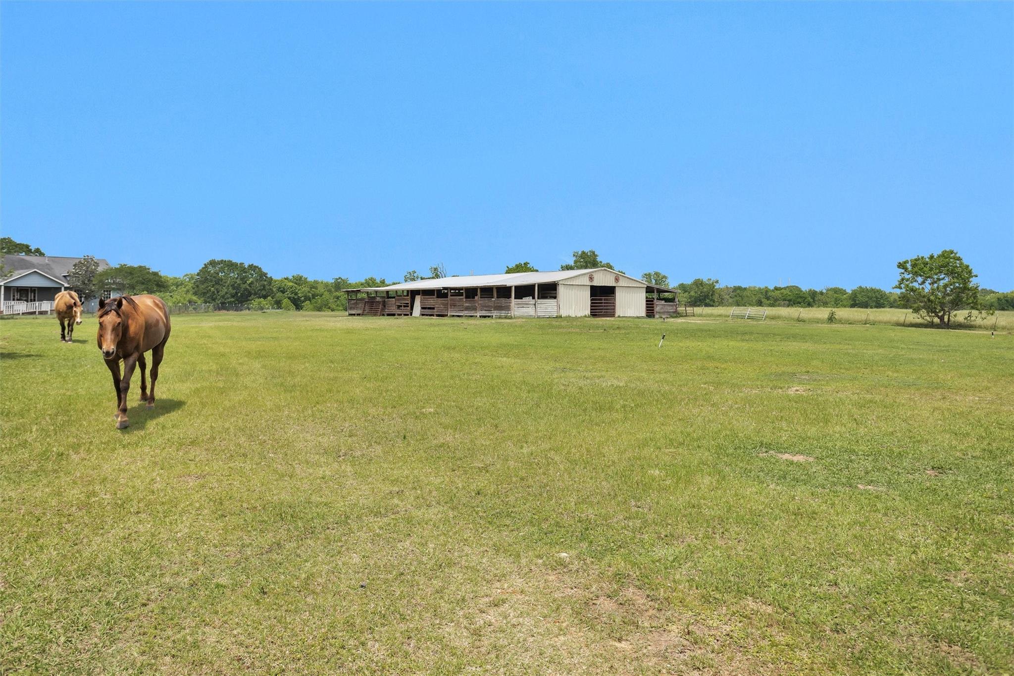 28136 Highway 105 W, Montgomery, TX 77316 photo