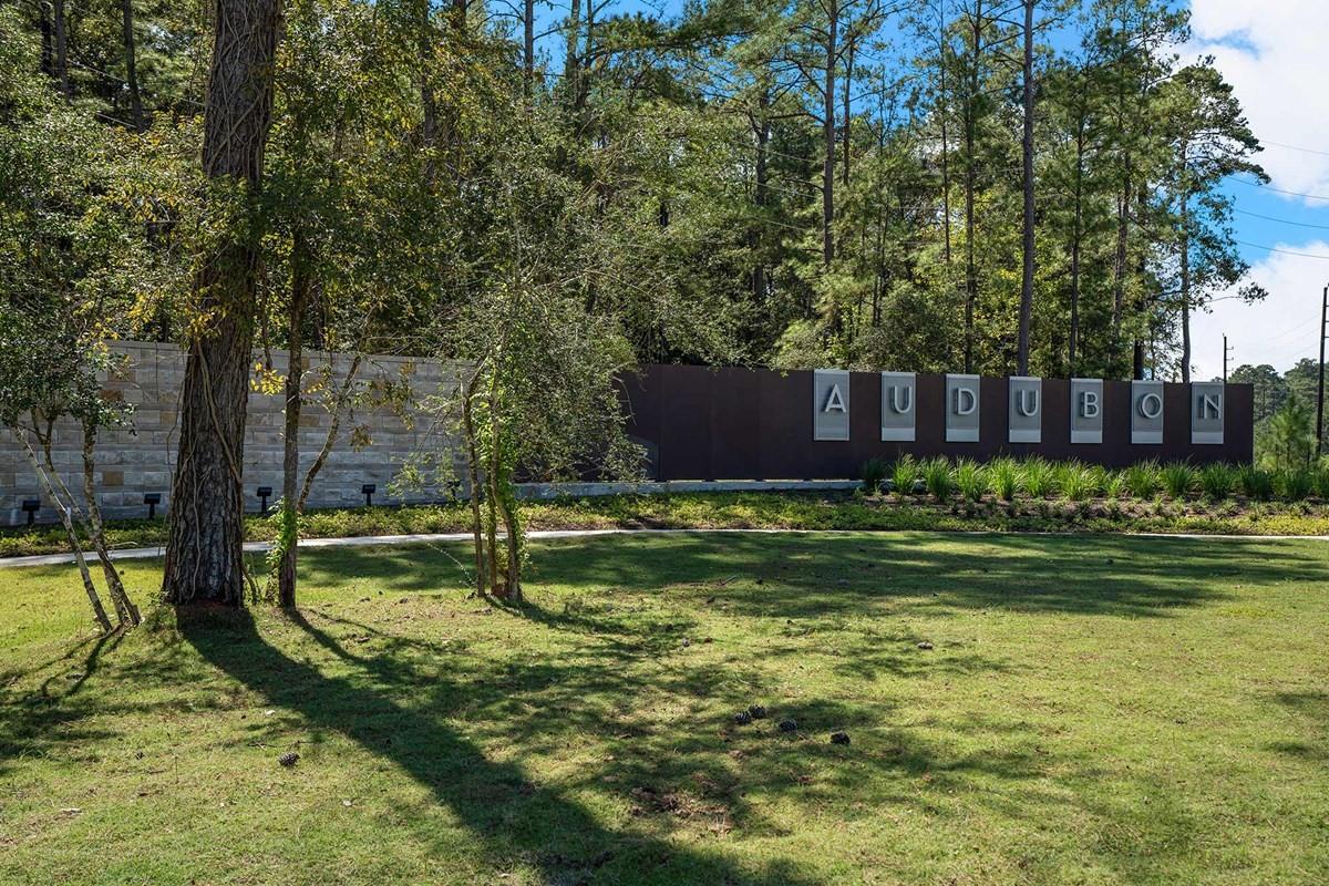 16819 Deep Wingbeat Way, Magnolia, TX 77354 photo