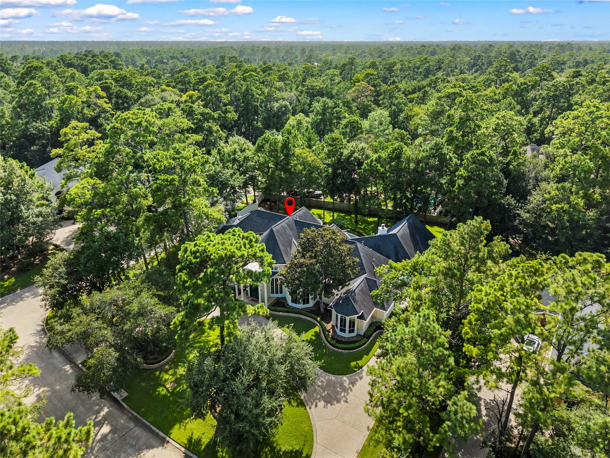 3 Benton Woods Cir, The Woodlands, TX 77382