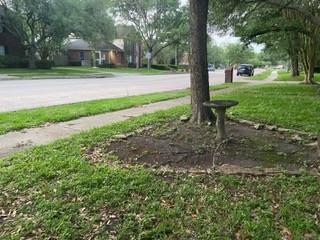 115 Eagle Lake Dr, Friendswood, TX 77546 photo