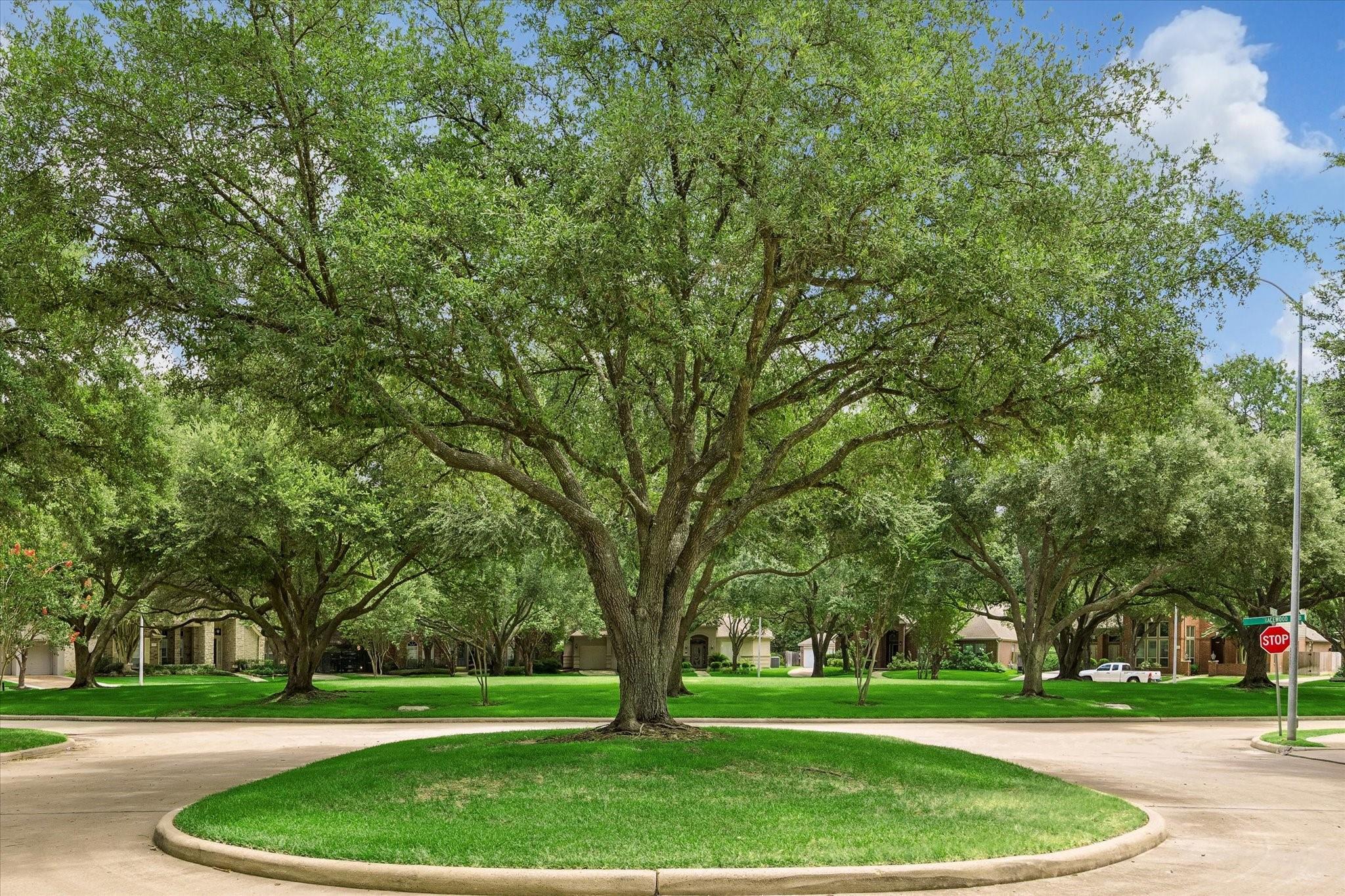 1310 Tracewood Cv, Houston, TX 77077 photo