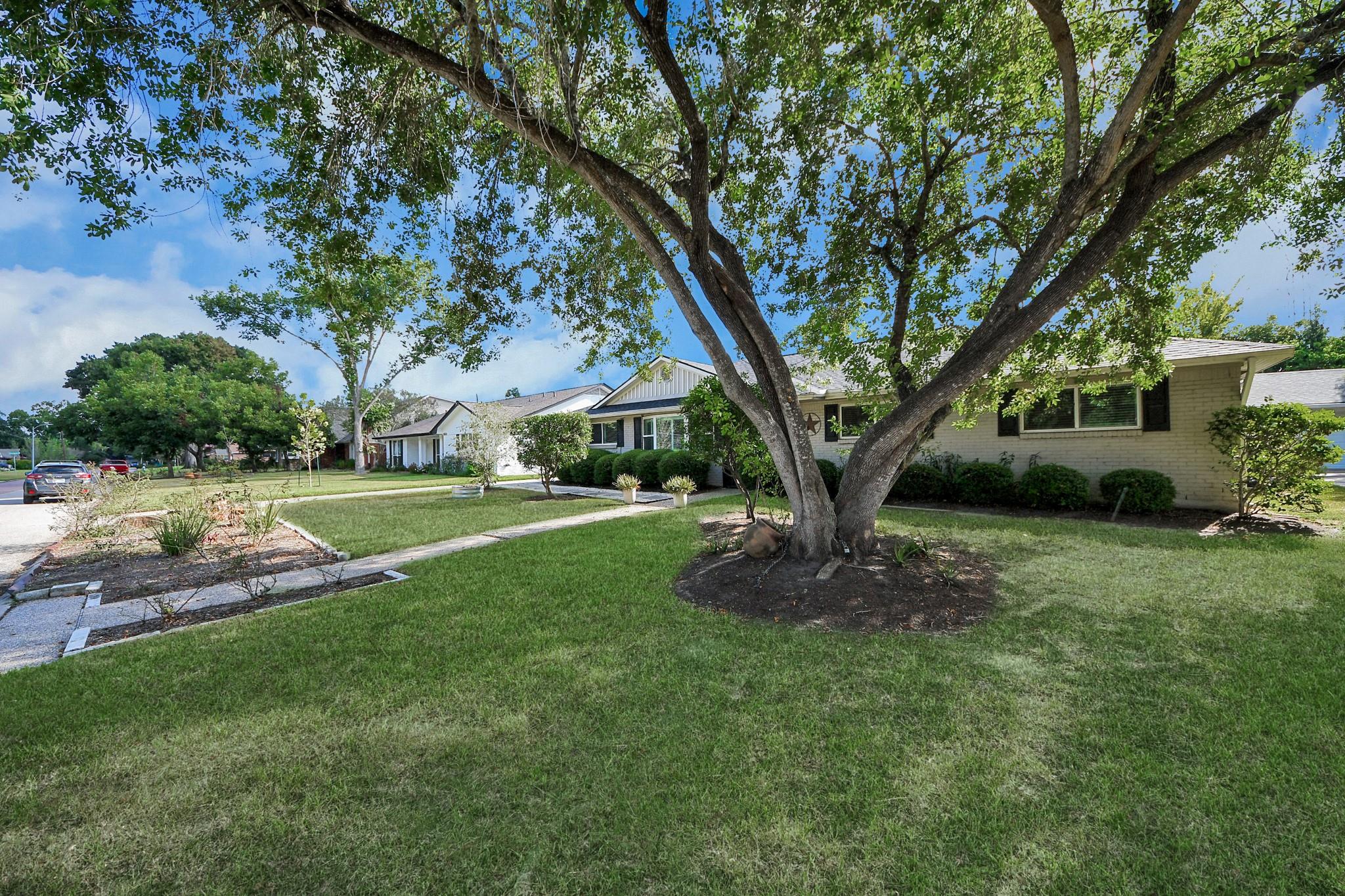 10303 Greenwillow St, Houston, TX 77035 photo