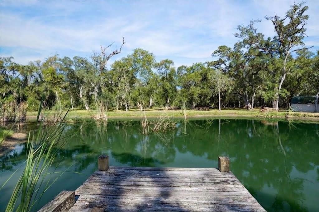 17502 Hamill Dr, Rosharon, TX 77583 photo