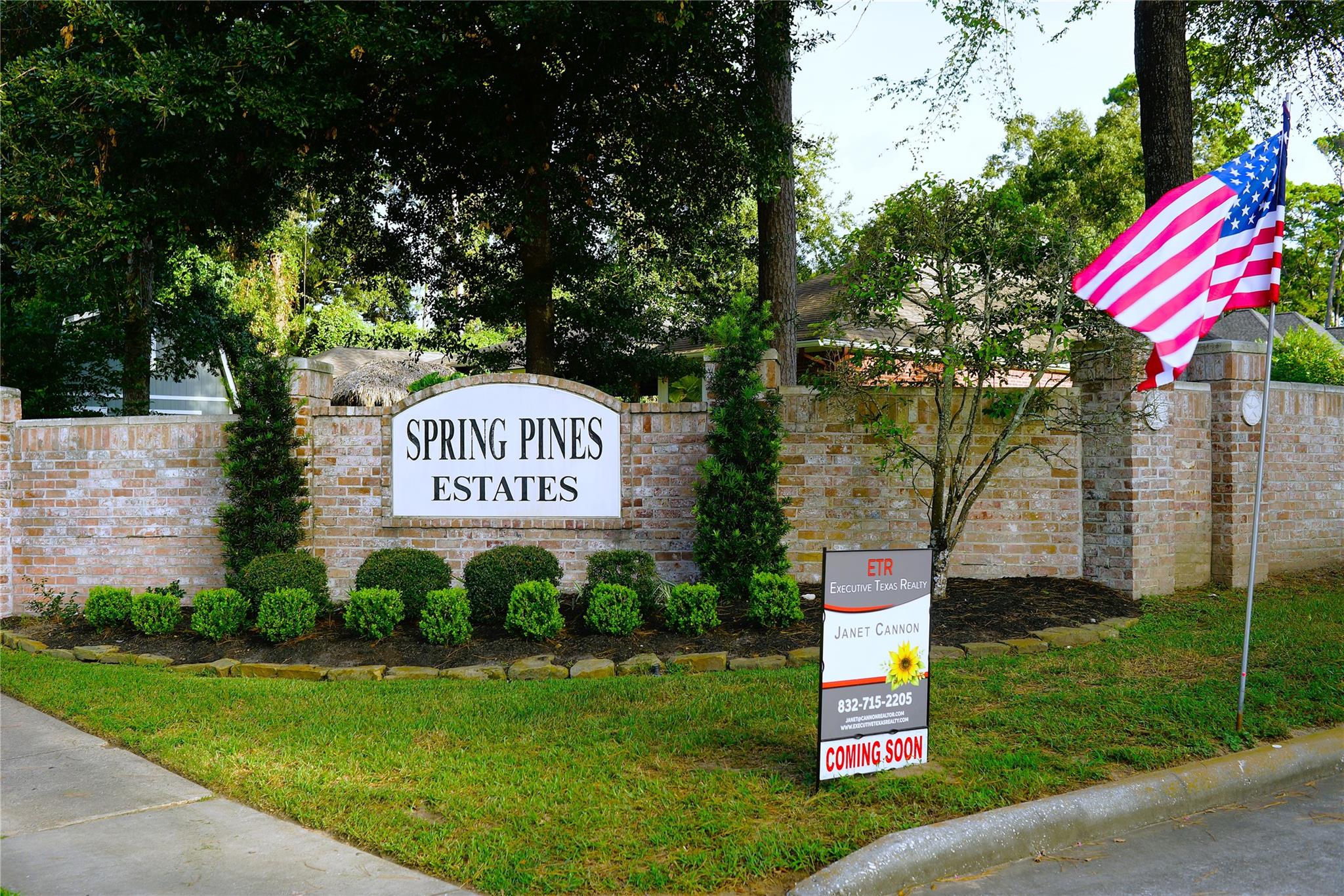 14206 Spring Pines Dr, Tomball, TX 77375 photo
