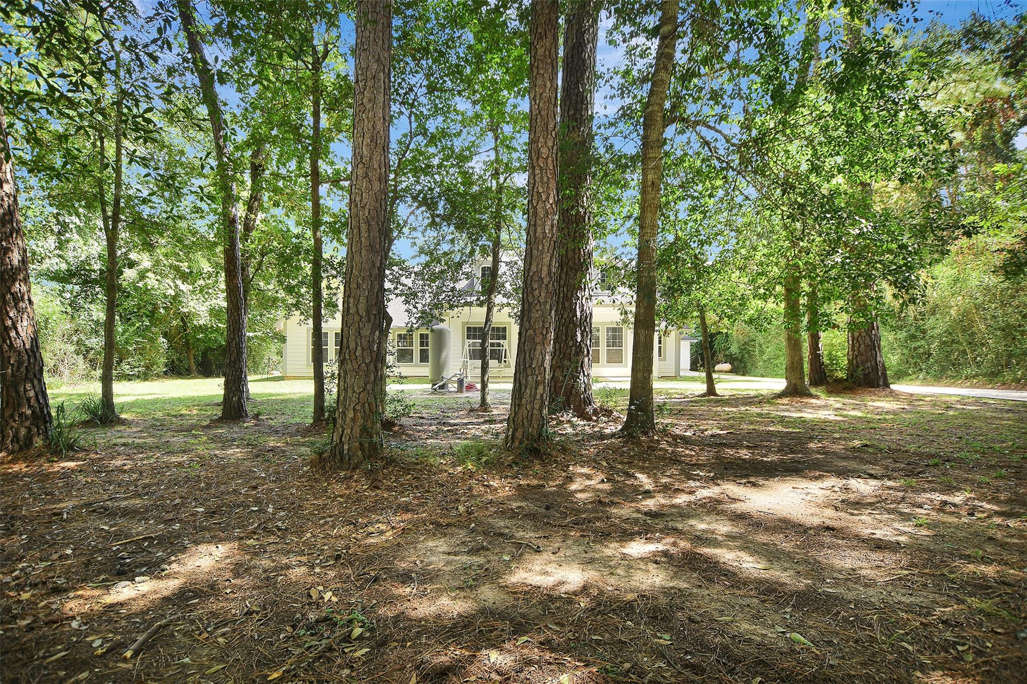 25703 Penguin St, Magnolia, TX 77355 photo