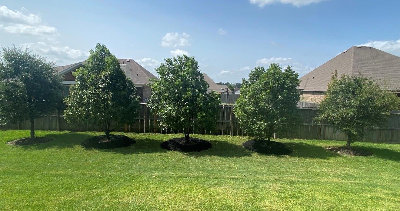 6014 Henry Hamlet Dr, Conroe, TX 77304 photo