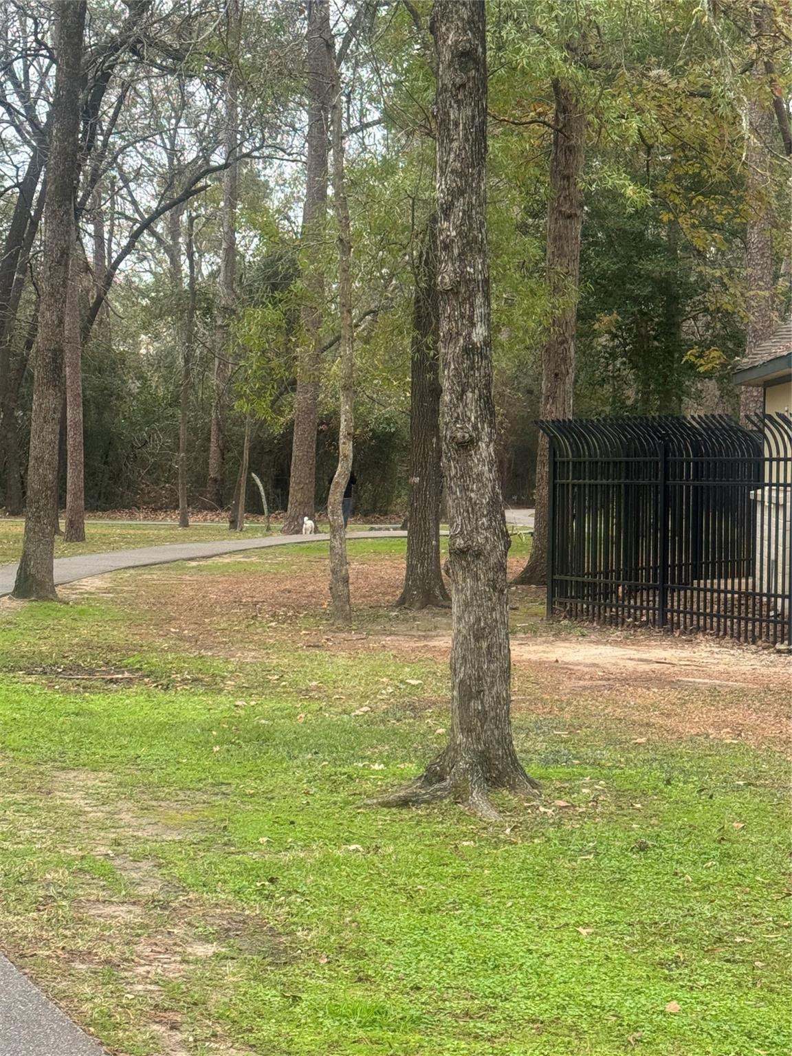 2910 Big Meadows Dr, Houston, TX 77339 photo