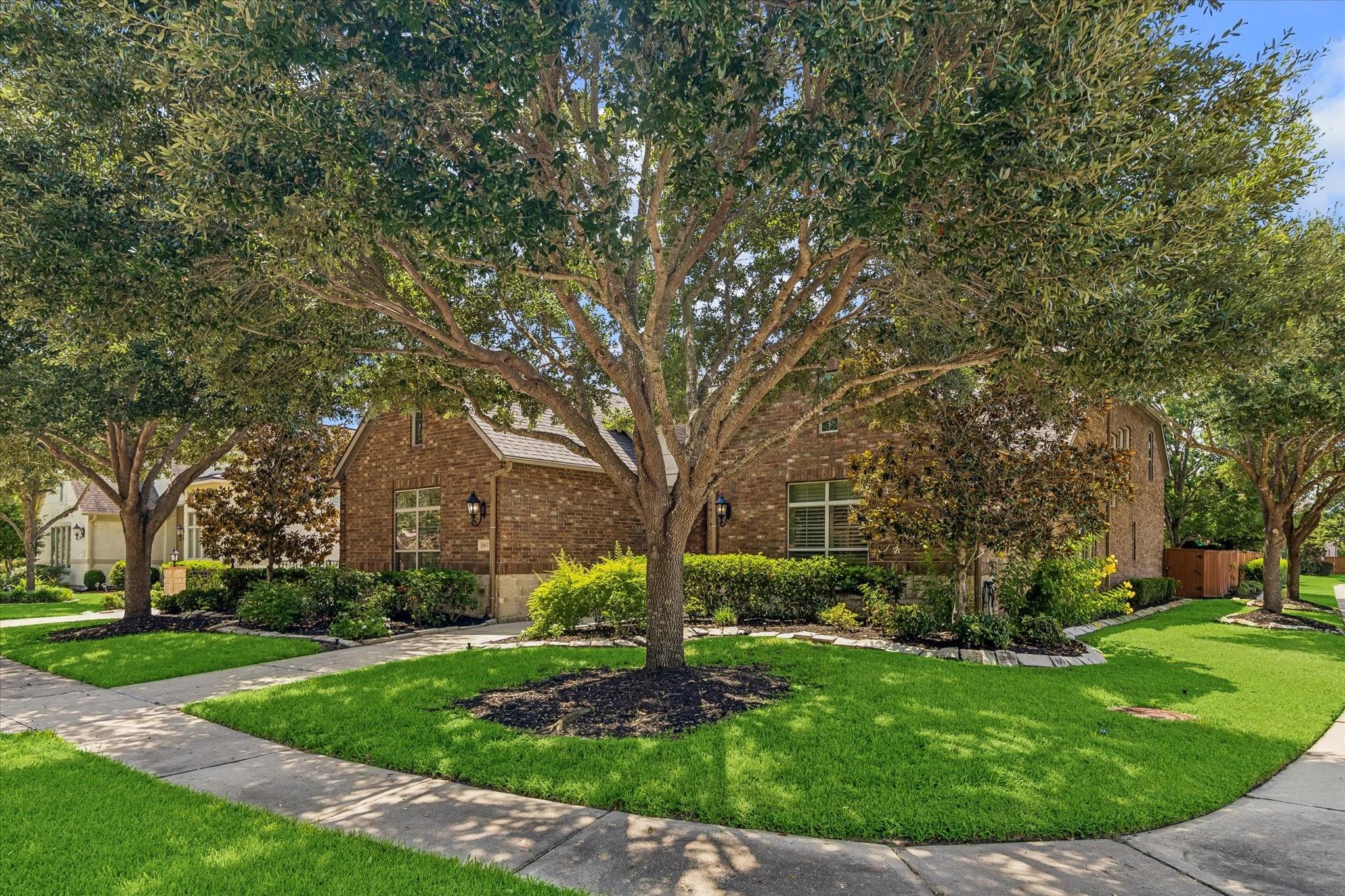 11402 Sardinia Dr, Richmond, TX 77406 photo