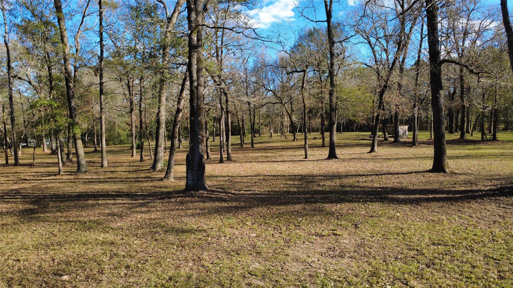 41111 Sandy Hill Rd, Montgomery, TX 77316 photo