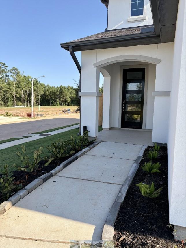 26703 Texas Lantana Ln, Montgomery, TX 77316 photo